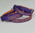 Collar Forzza Perro