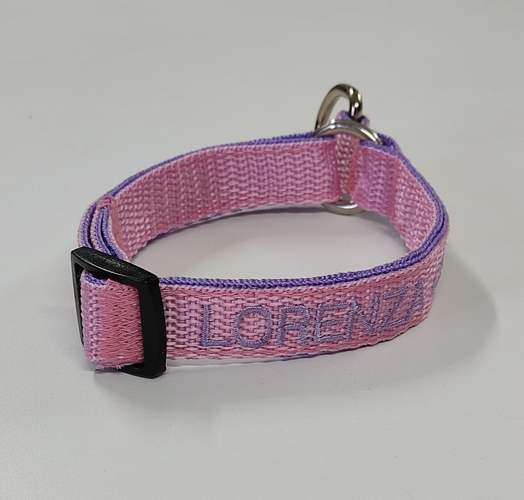 Collar Forzza Perro