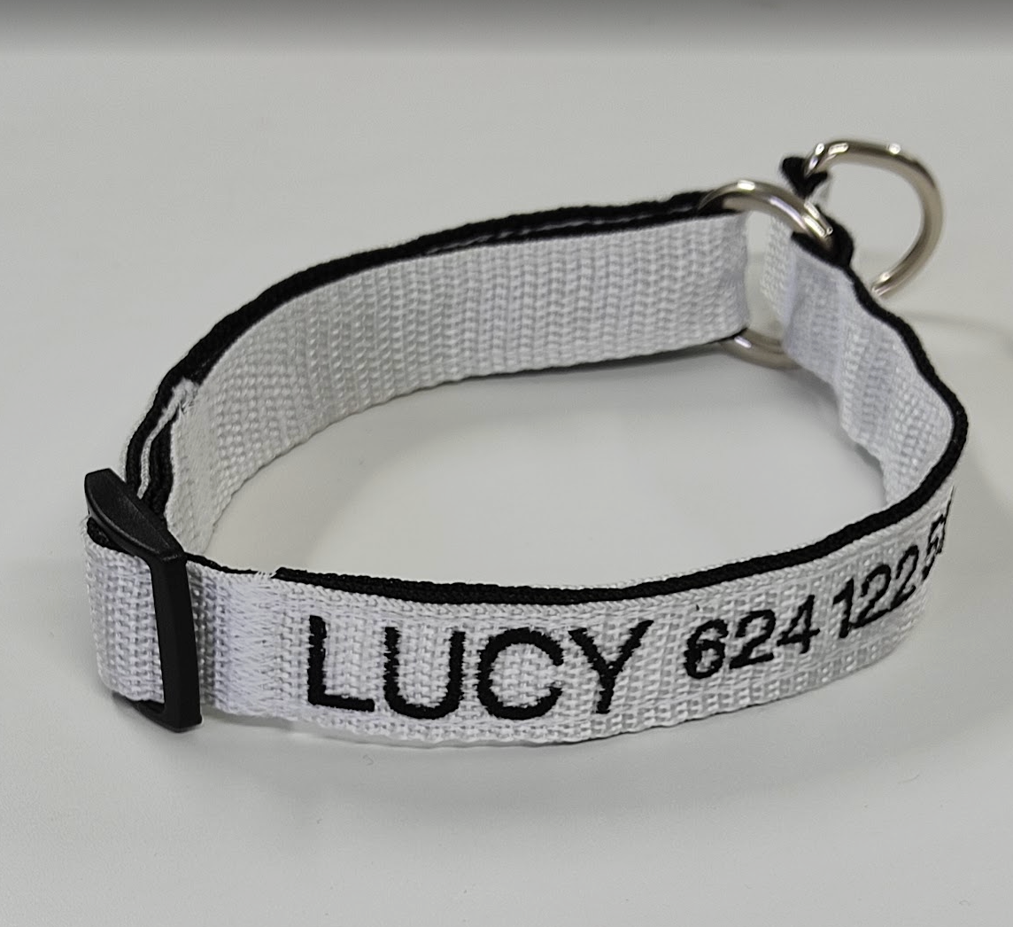 Collar Forzza Perro