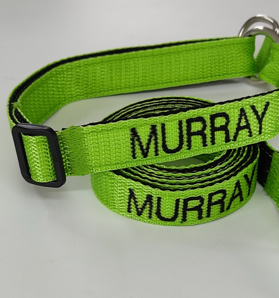 Collar Forzza Perro