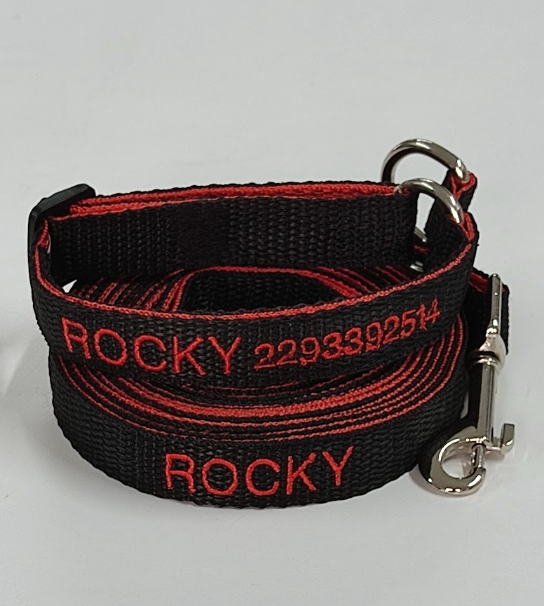 Collar Forzza Perro