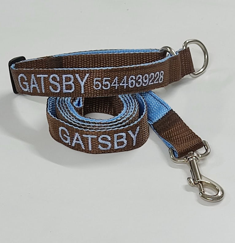 KIT Forzza Perro - Collar + Correa + Envío de Regalo