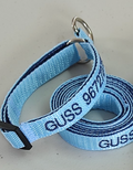 Collar Forzza Perro