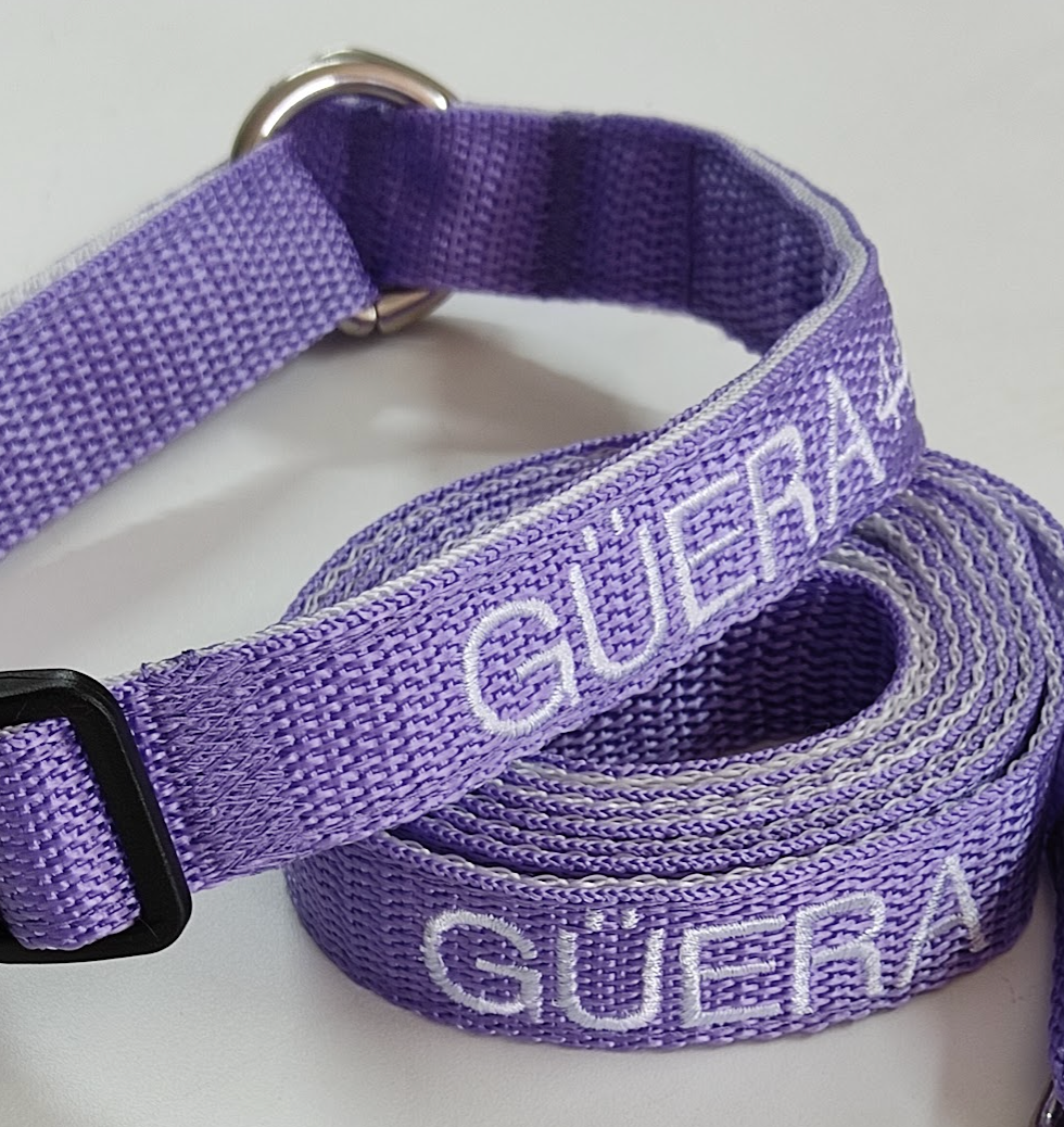 KIT Forzza Perro - Collar + Correa + Envío de Regalo