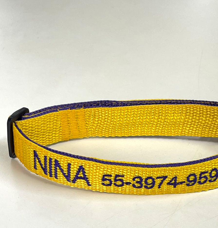 Collar Forzza Perro