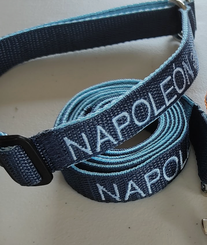 KIT Forzza Perro - Collar + Correa + Envío de Regalo