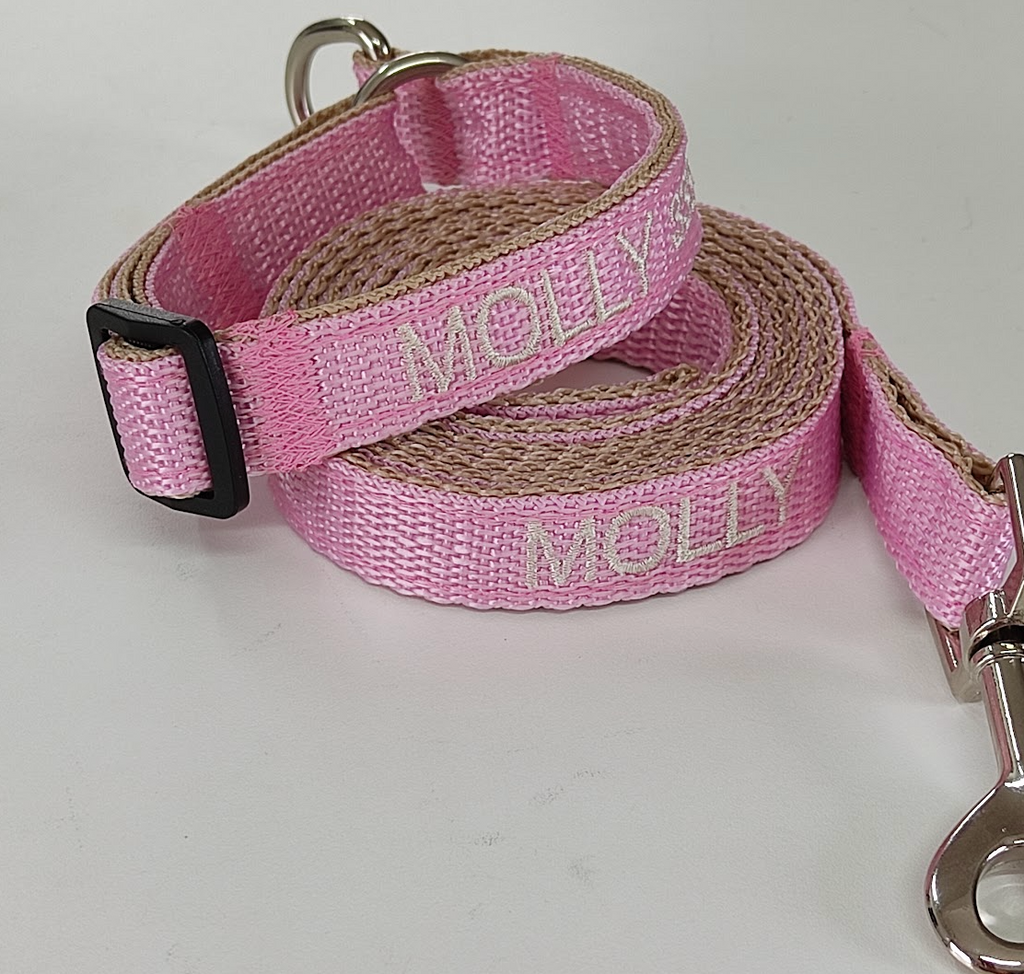 KIT Forzza Perro - Collar + Correa + Envío de Regalo