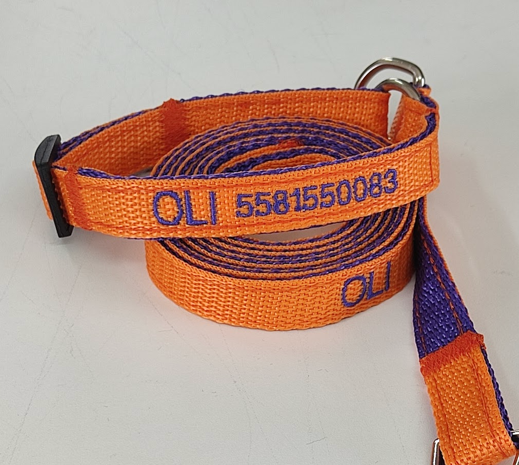 KIT Forzza Perro - Collar + Correa + Envío de Regalo