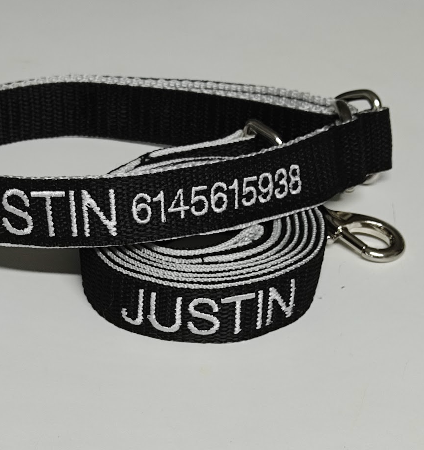 KIT Forzza Perro - Collar + Correa + Envío de Regalo