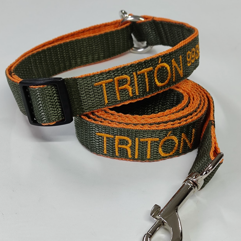 KIT Forzza Perro - Collar + Correa + Envío de Regalo