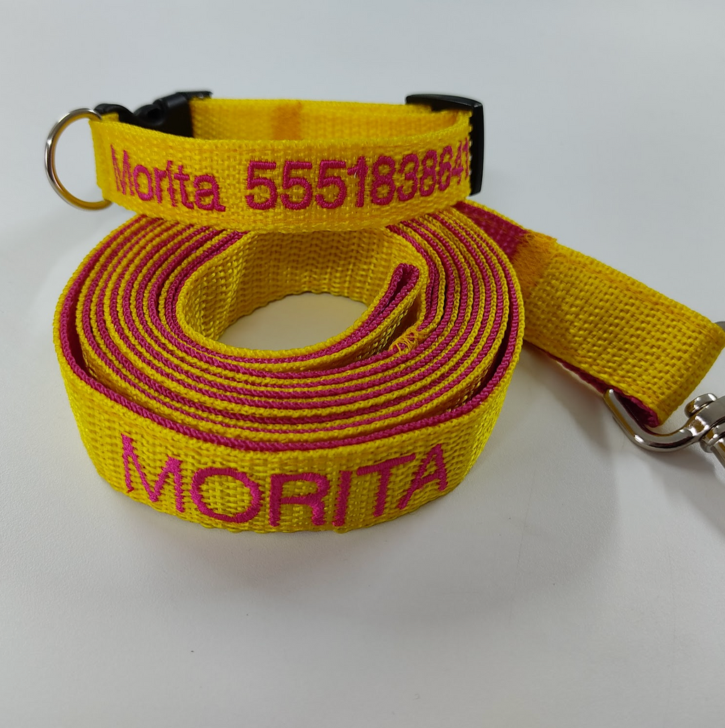 KIT Forzza Perro - Collar + Correa + Envío de Regalo