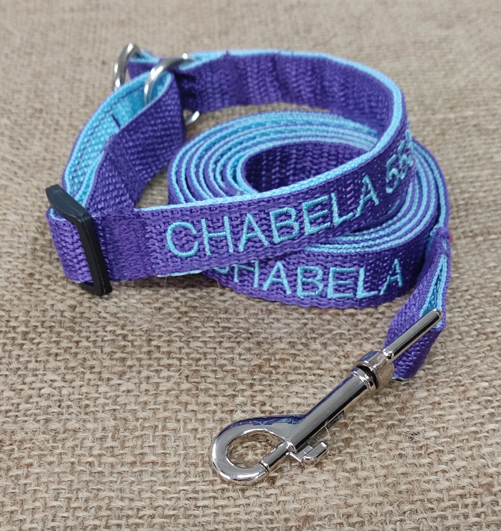 KIT Forzza Perro - Collar + Correa + Envío de Regalo