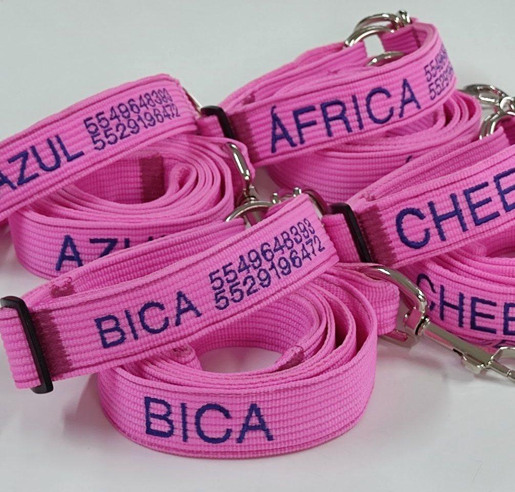 KIT MEGA Forzza: Collar de Seguridad + Correa + Envío Gratis
