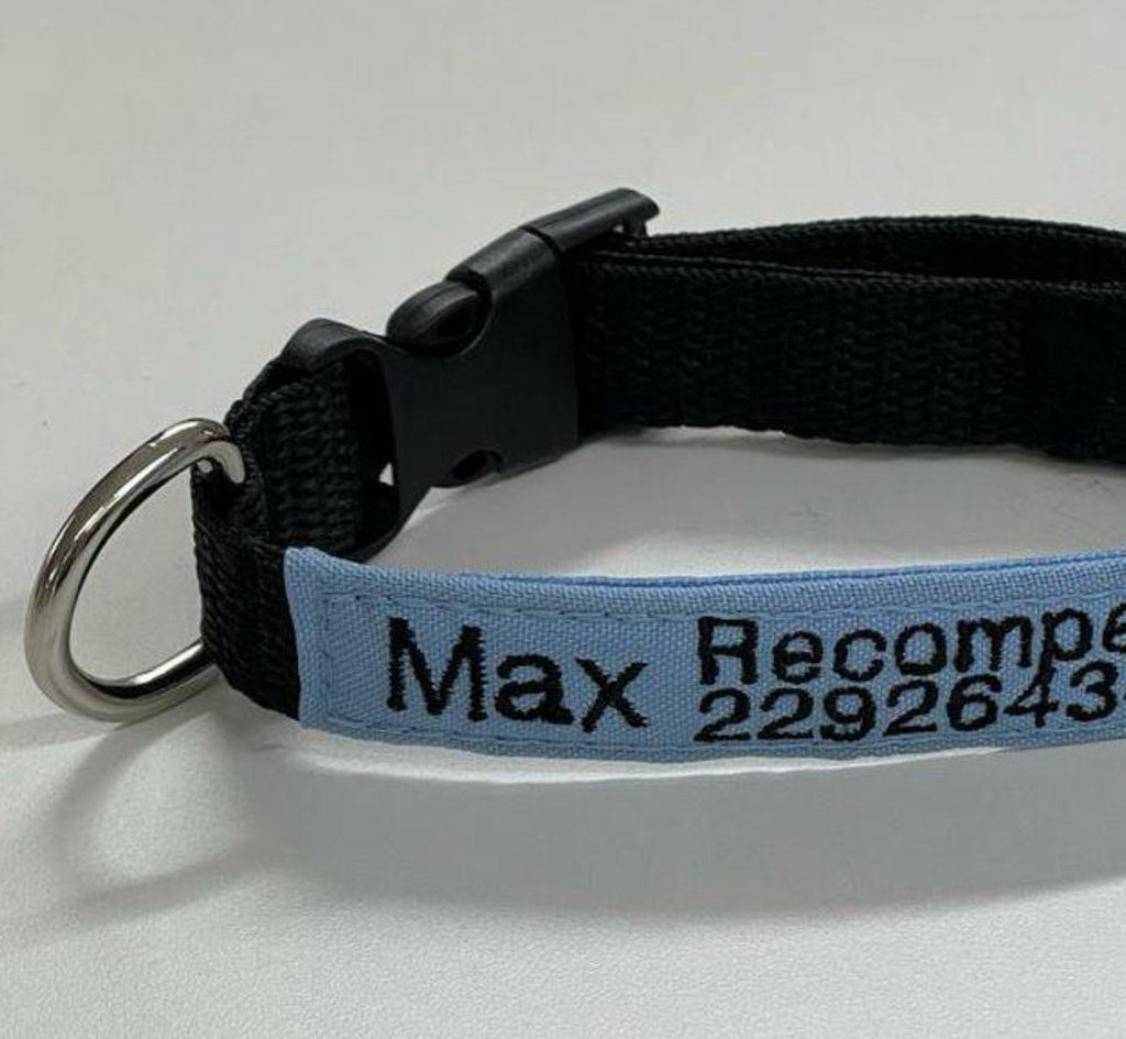 Collar Tela Perro