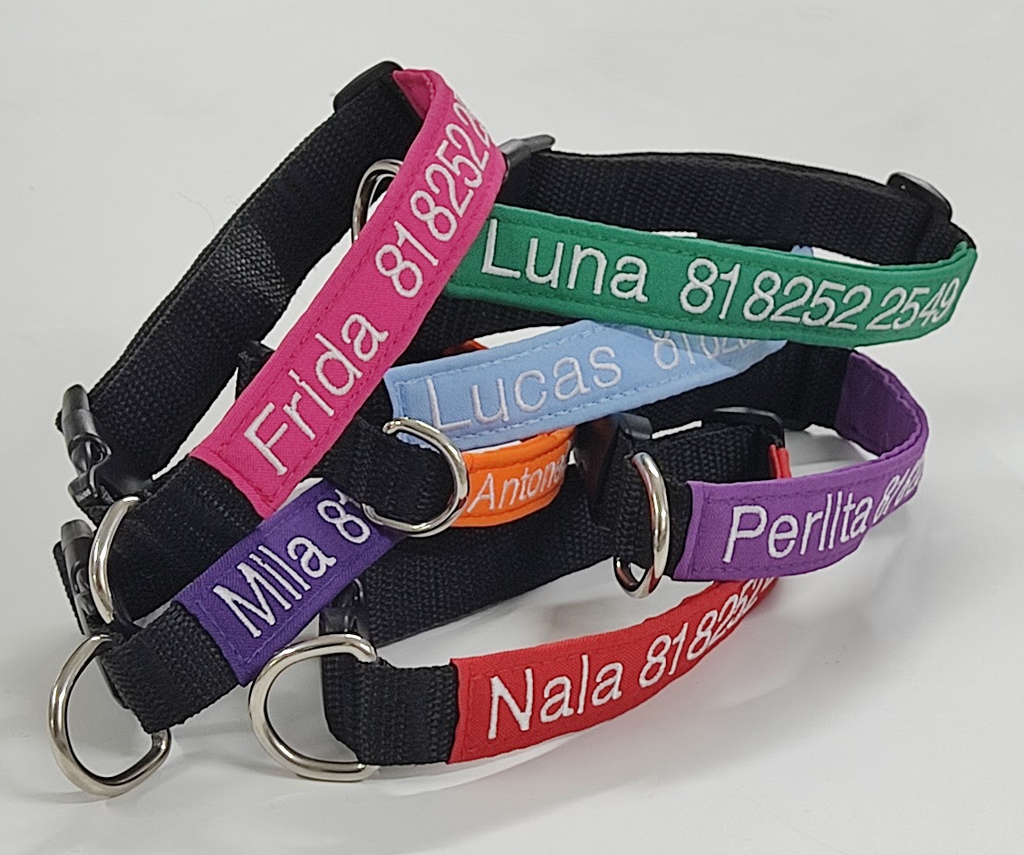Collar Tela Perro