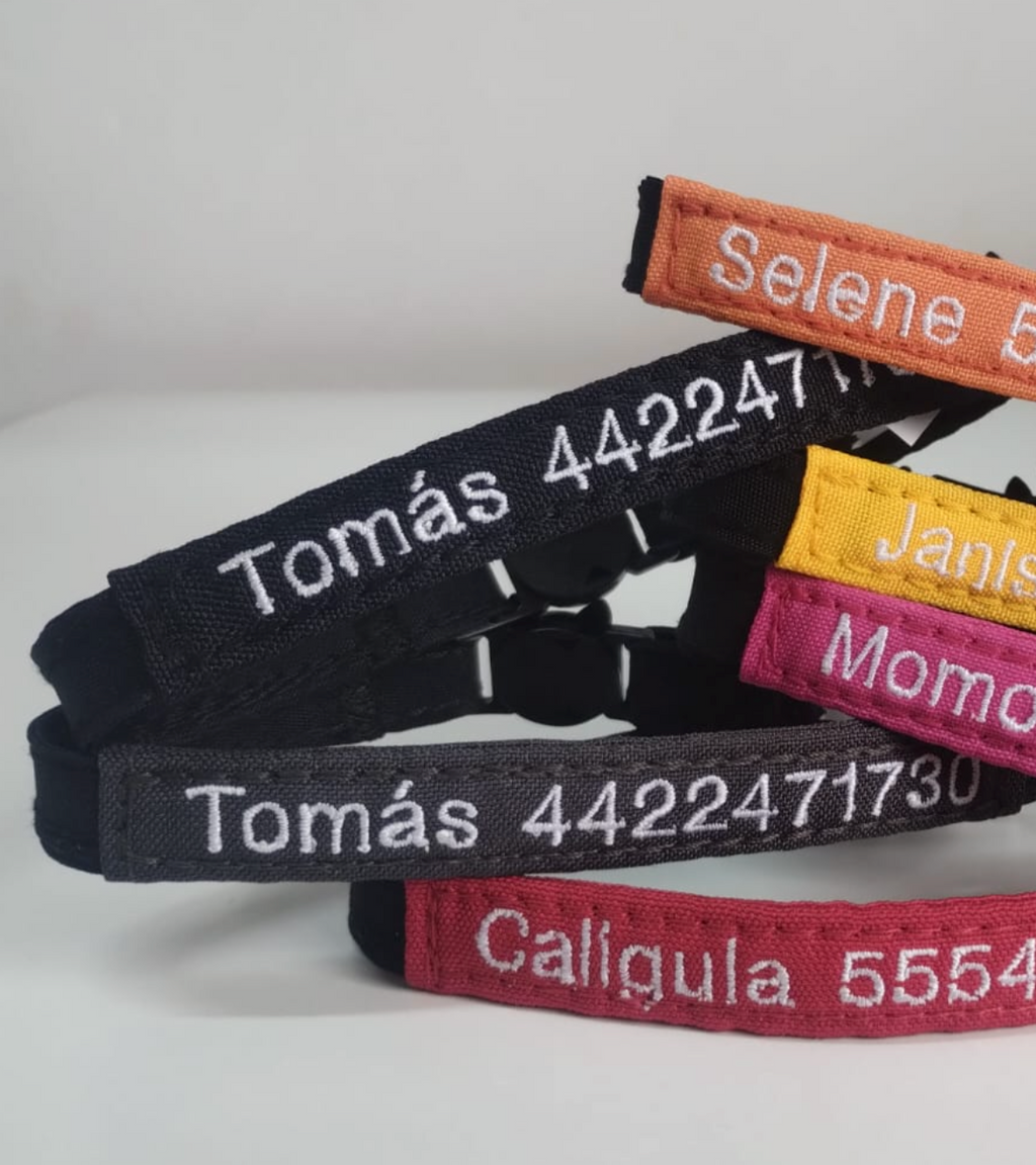 Collar Tela Perro