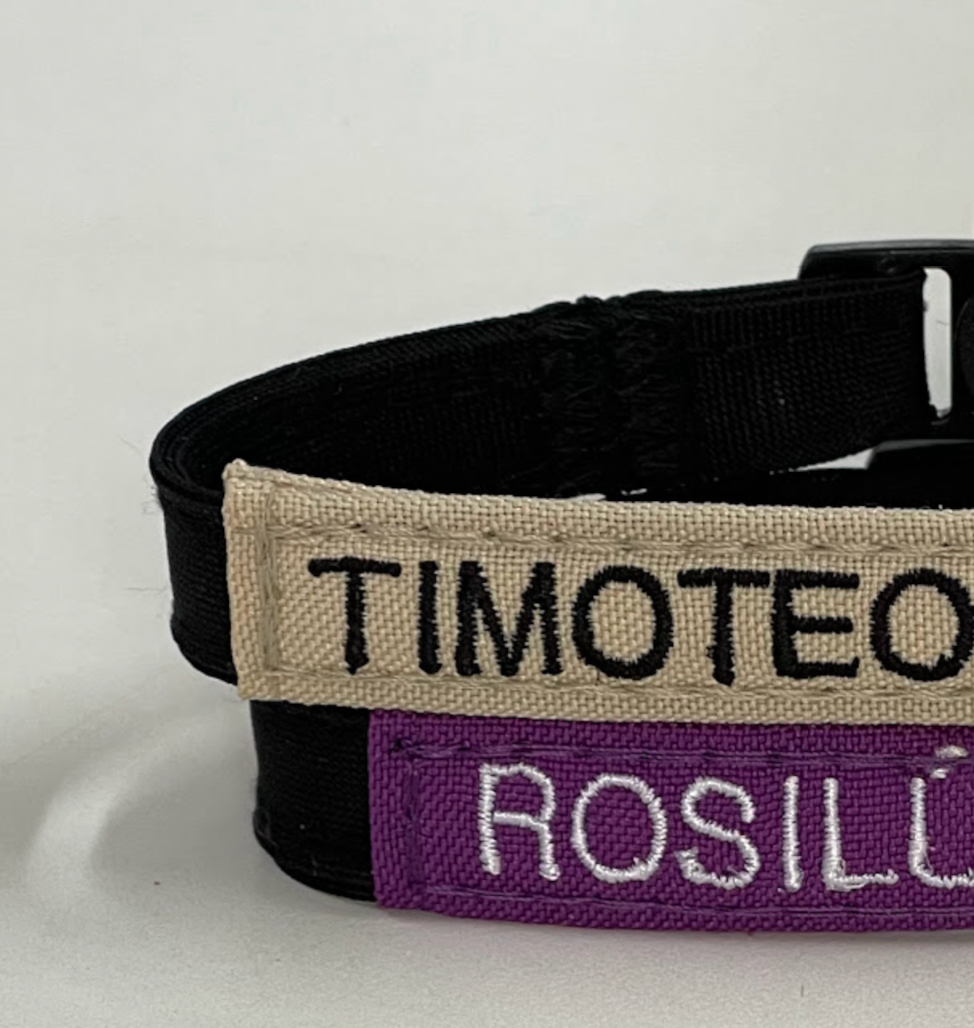 Collar Tela Perro