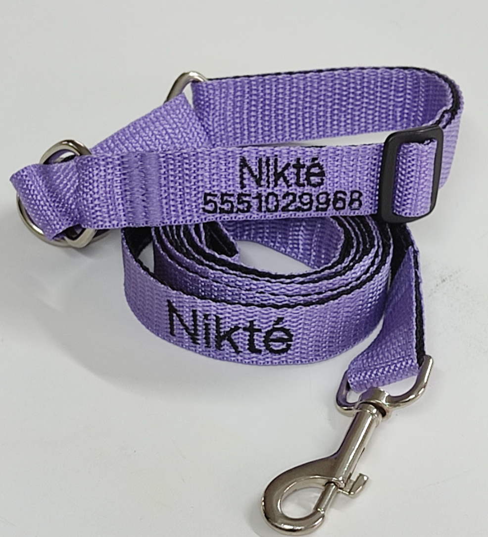KIT Martingale Forzza Perro - Collar + Correa + Envío de Regalo