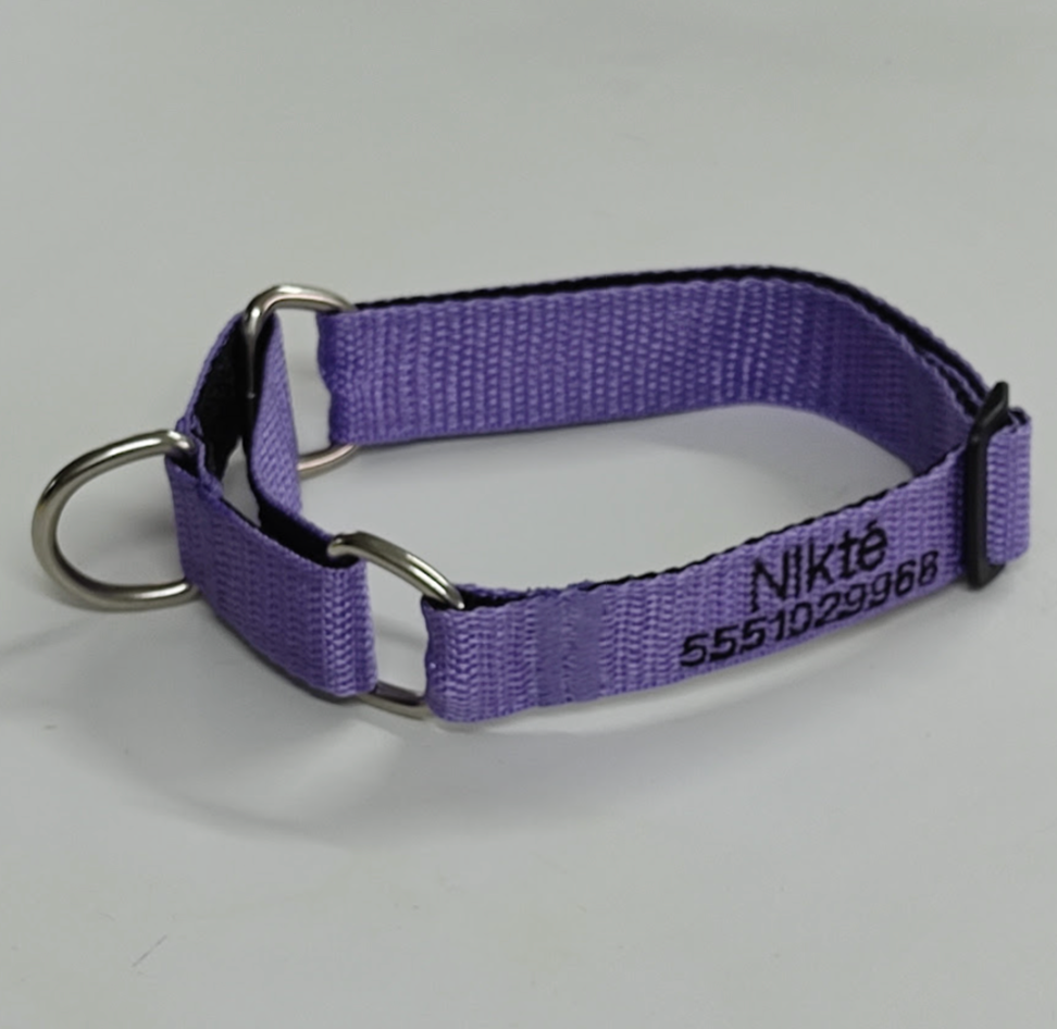 KIT Martingale Forzza Perro - Collar + Correa + Envío de Regalo