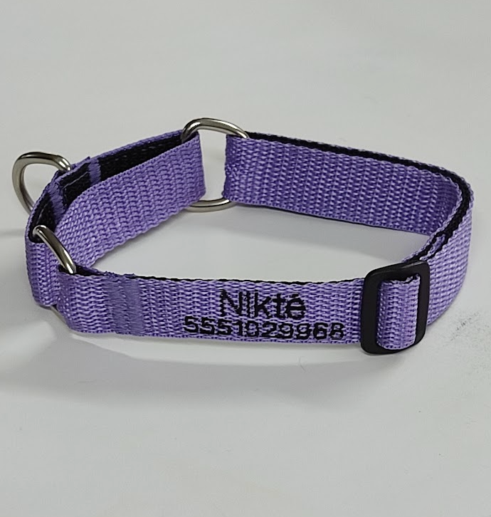 KIT Martingale Forzza Perro - Collar + Correa + Envío de Regalo