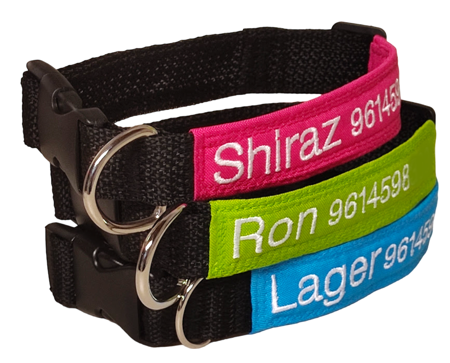 Collar Tela Perro