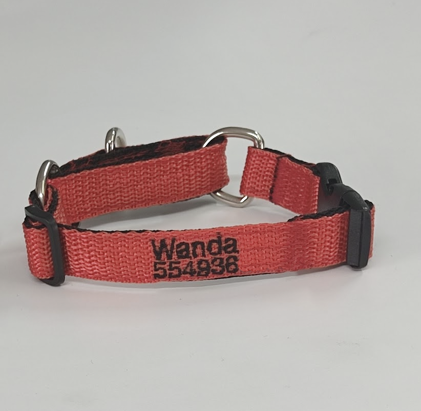 Collar Martingale Forzza Perros