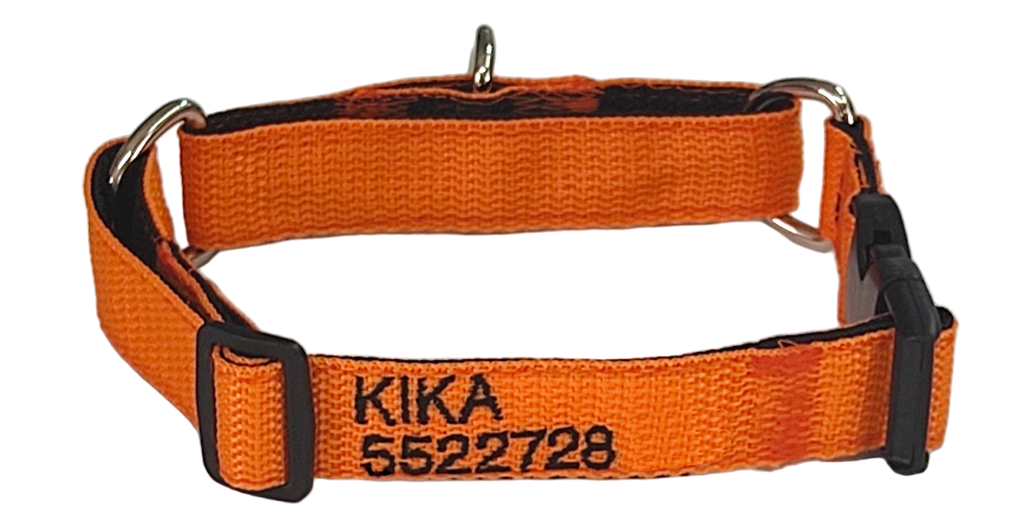 Collar Martingale Forzza Perros