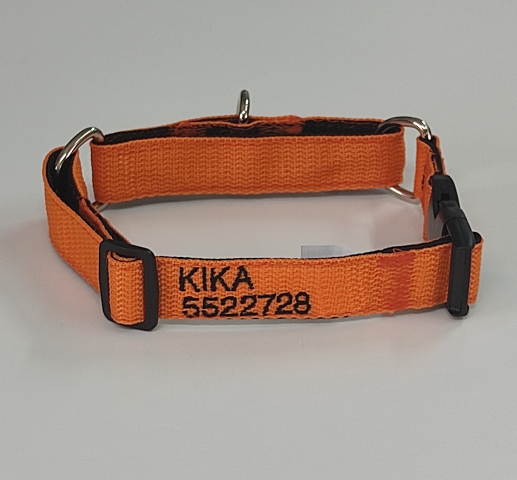 Collar Martingale Forzza Perros