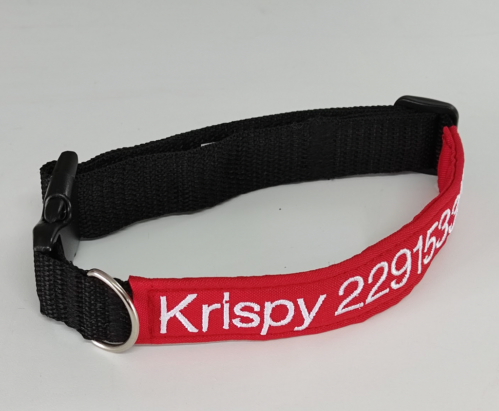 Collar Tela Perro