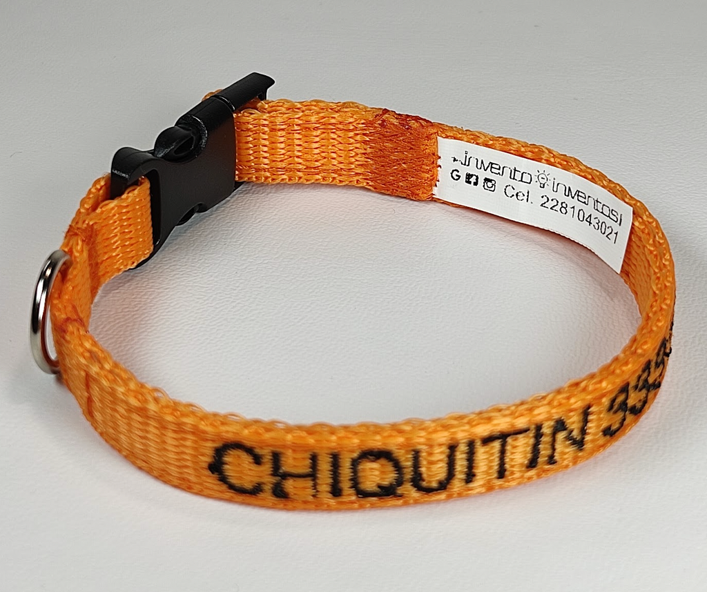 Collar Cinta Mini Perro