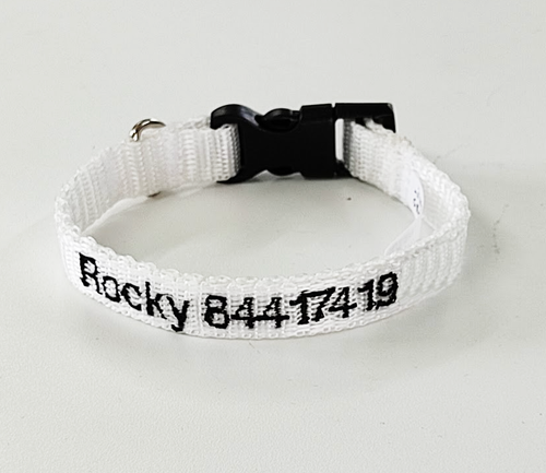 Collar Cinta Mini Perro