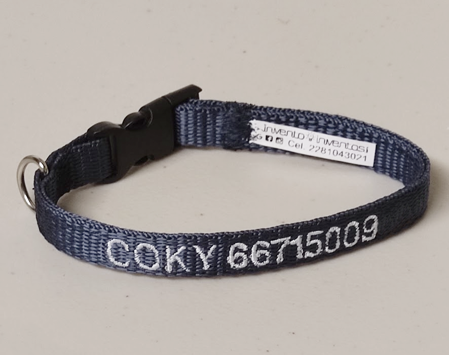 Collar Cinta Mini Perro