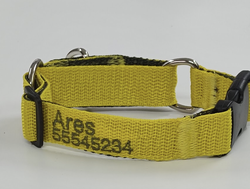 Collar Martingale Forzza Perros