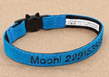 Collar Gamuza Gato