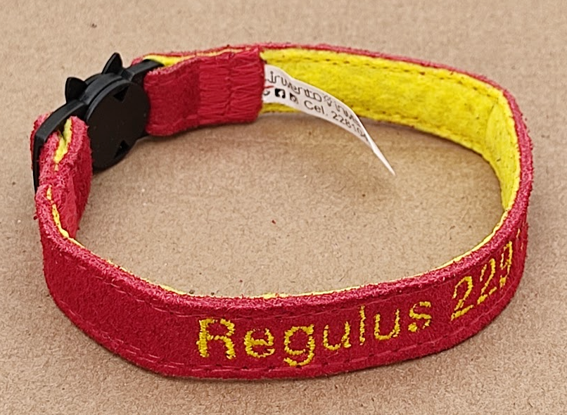 Collar Gamuza Gato