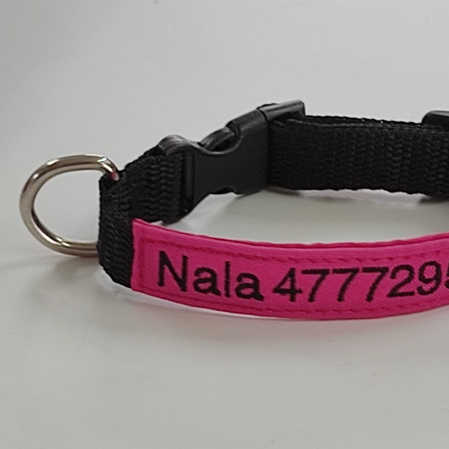Collar Tela Perro