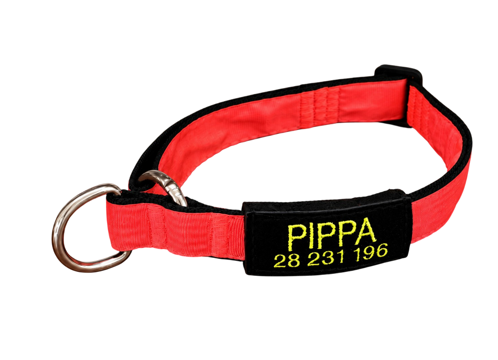 TacTag™ – Identificador Intercambiable para Perros