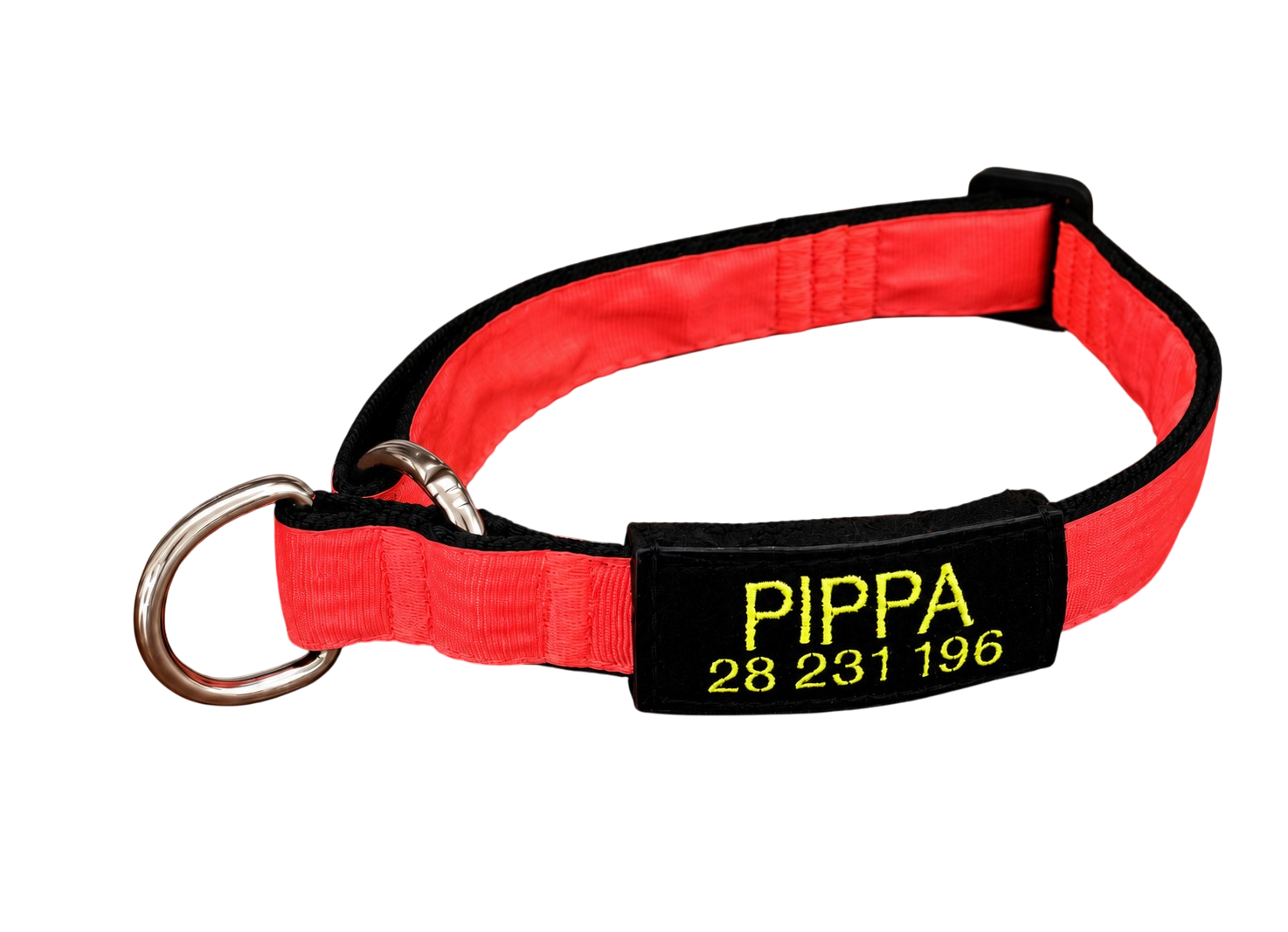 TacTag™ – Identificador Intercambiable para Perros