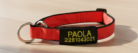 TacTag™ – Identificador Intercambiable para Perros