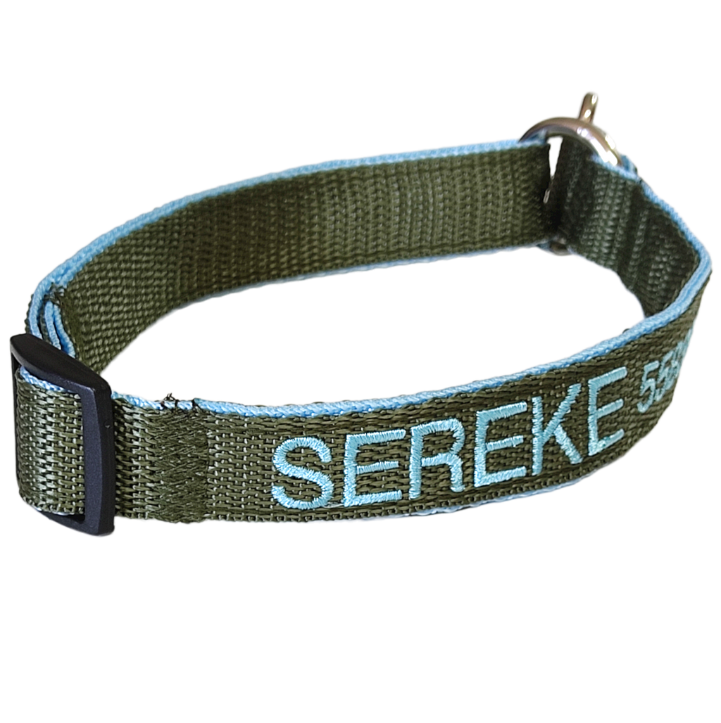Collar Forzza Perro
