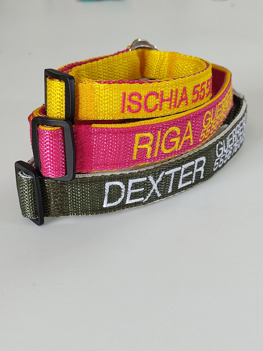 Collar Forzza Perro