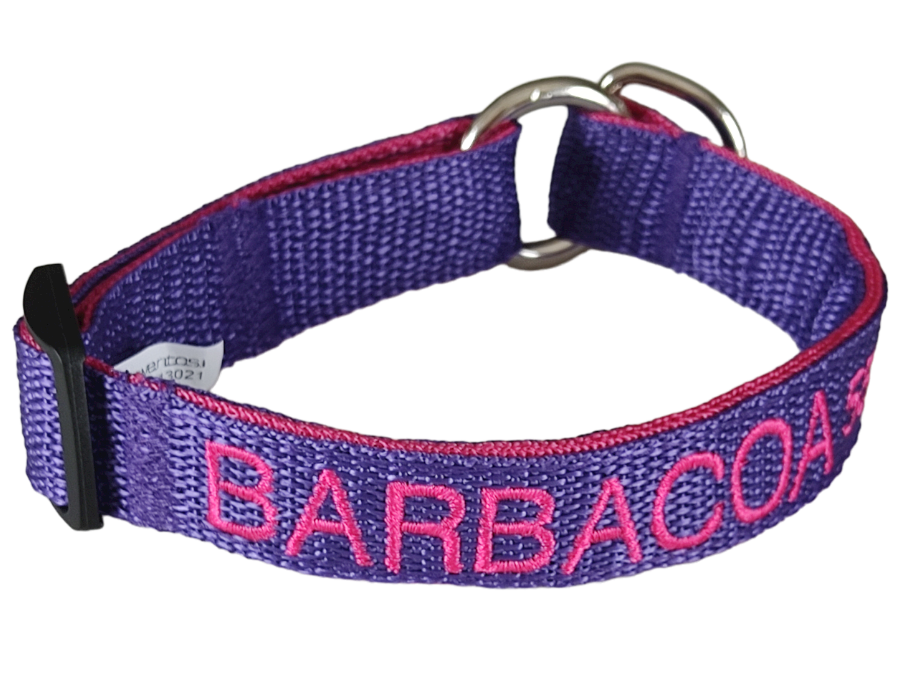 Collar Forzza Perro