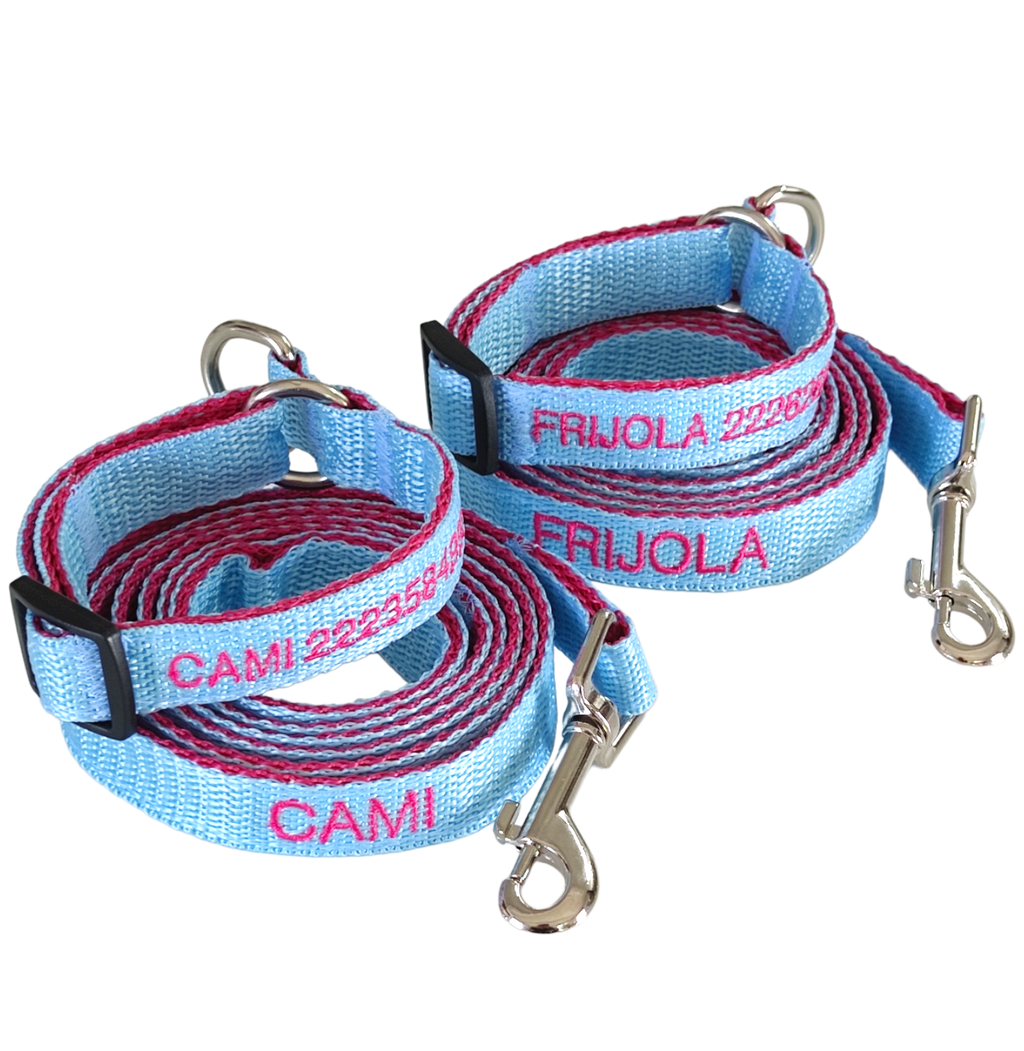 KIT Forzza Perro - Collar + Correa + Envío de Regalo