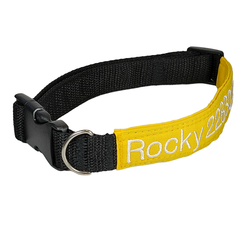 Collar Tela Perro