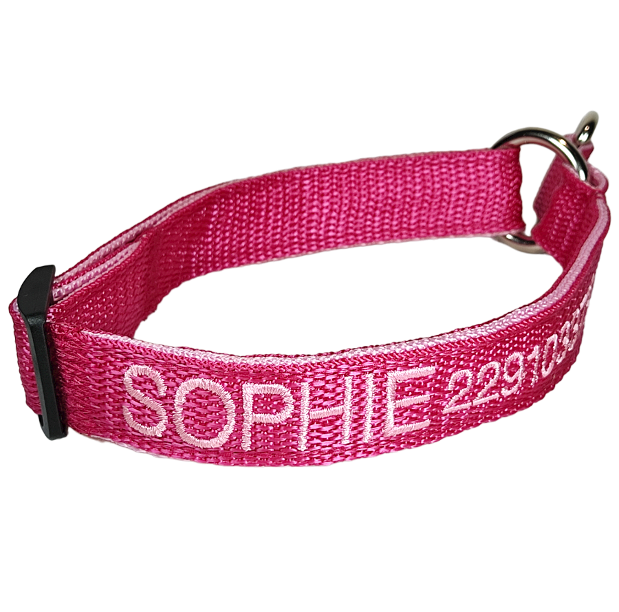 Collar Forzza Perro