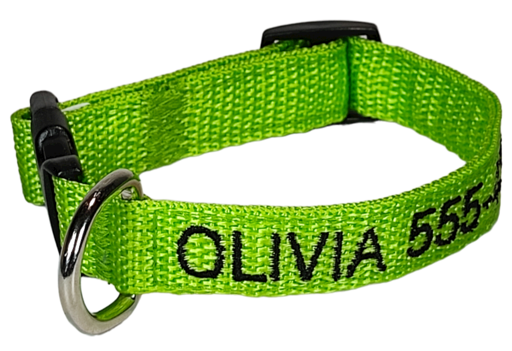 Collar Cinta Perro