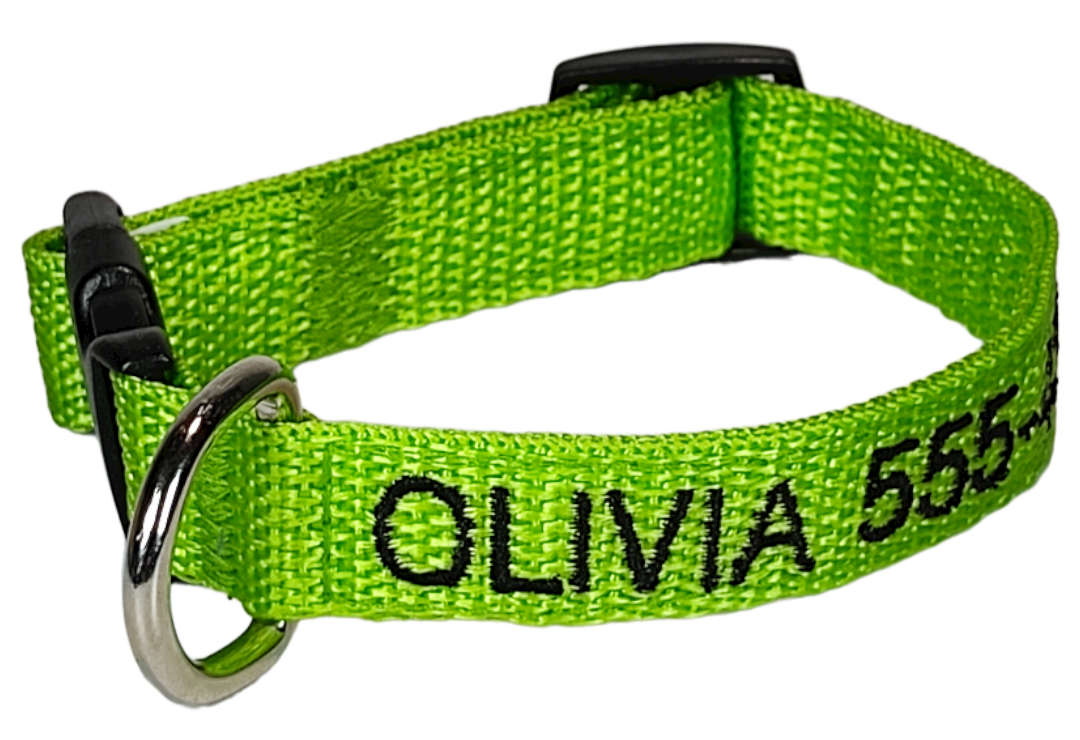 Collar Cinta Perro