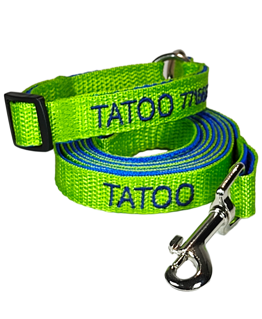 KIT Forzza Perro - Collar + Correa + Envío de Regalo