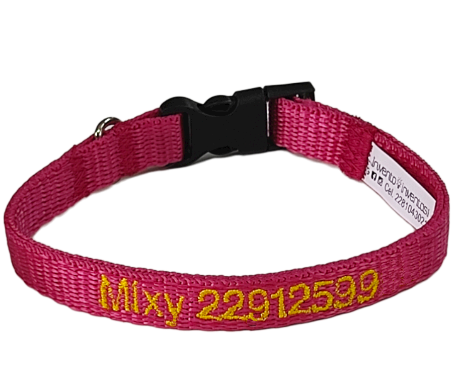 Collar Cinta Mini Perro