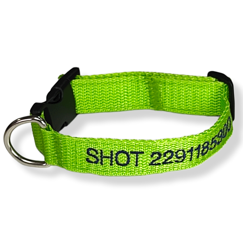 Collar Cinta Perro